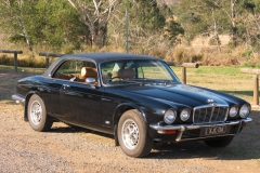 Black Cat 2004 Bild1