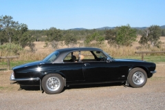 Black Cat 2004 Bild3