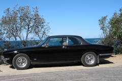 Black Cat 2005 Bild03