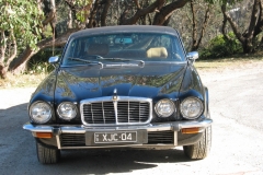 Black Cat 2005 Bild05