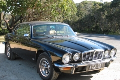 Black Cat 2005 Bild07