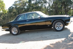 Black Cat 2005 Bild08