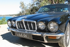 Black Cat 2005 Bild19