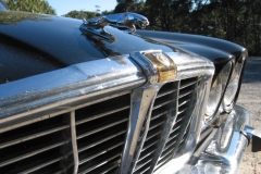 Black Cat 2005 Bild20