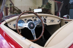 Bild-11